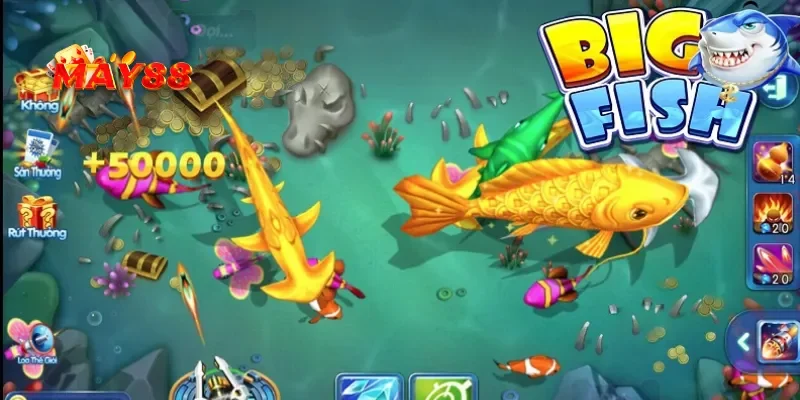 Các loại cá trong bắn cá rồng vàng